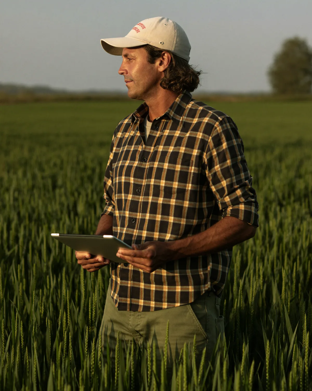 Produtor rural no campo usando o IsWiser